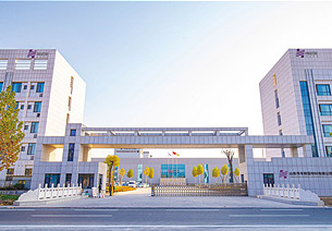 2025新老澳门原料免费大全